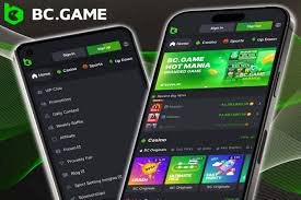 Discover the Thrill of BC.Game Crypto Casino